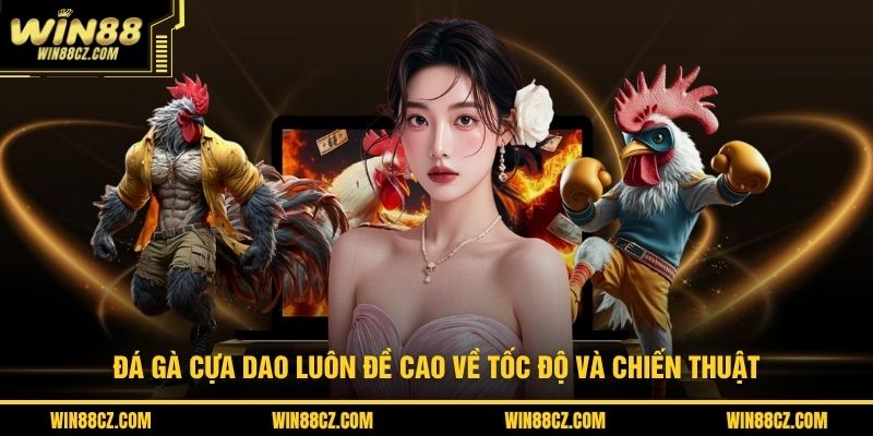 Đá gà cựa dao luôn đề cao về tốc độ và chiến thuật