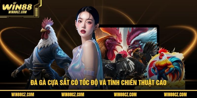 Đá gà cựa sắt có tốc độ và tính chiến thuật cao