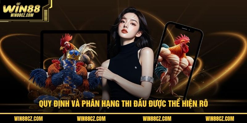 Quy định và phân hạng thi đấu được thể hiện rõ