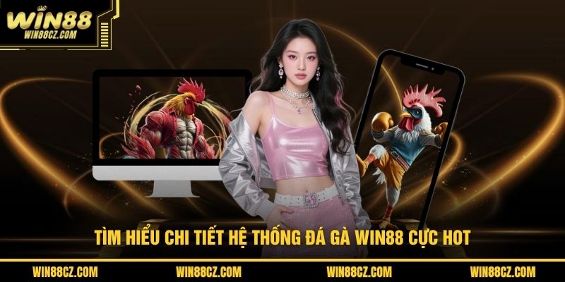 Tìm hiểu chi tiết hệ thống đá gà Win88 cực hot